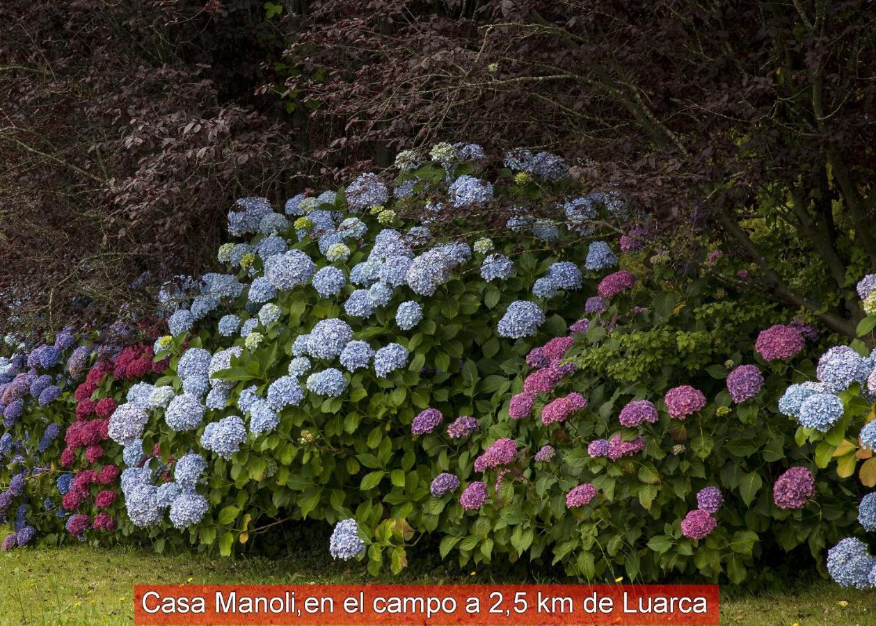 Penzion Casa Manoli Luarca Almuña Exteriér fotografie